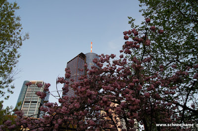 DSC00166-1.JPG