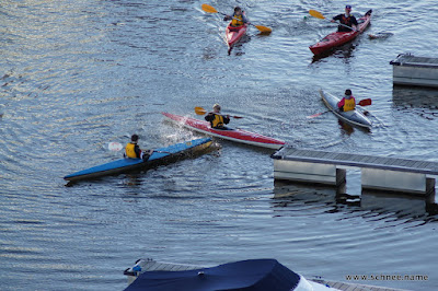 DSC00078-1.JPG