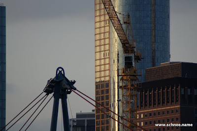 DSC01034-1.JPG