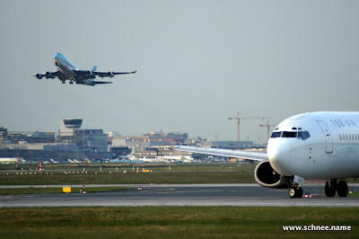 DSC01309-1.JPG