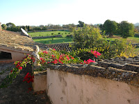 SAM_0394.JPG
