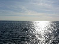 SAM_0417.JPG