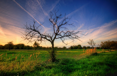 DSC02733_4_5_tonemapped.jpg