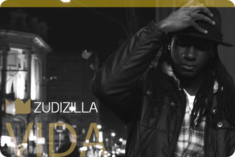 Zudizila Vida