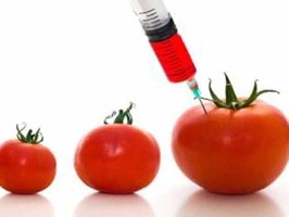 [ALIMENTOS[4].jpg]