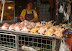 note live chicken under dead ones!  ...they'll slaughter for you right there