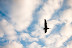 All Rights Reserved. Copyright &copy; 2010 Trevor Thompson