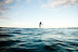 All Rights Reserved. Copyright &copy; 2010 Trevor Thompson