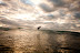 All Rights Reserved. Copyright &copy; 2010 Trevor Thompson