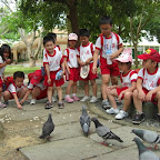 2010.07.23 暑假清華大學之旅