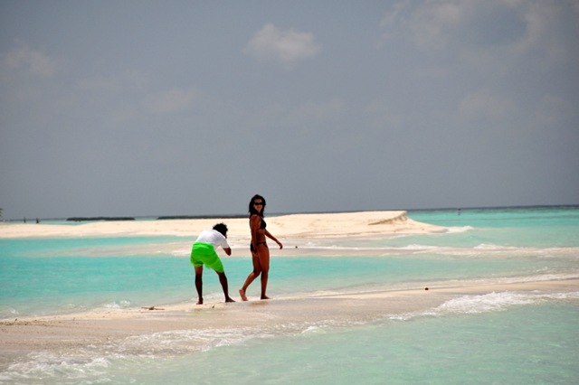 [DSC_0262[2].jpg]