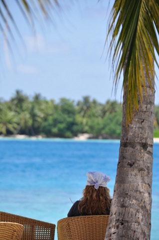 [DSC_0363[2].jpg]