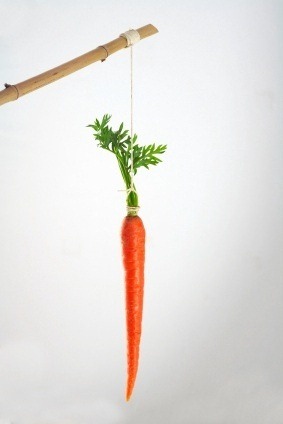 [incentive-carrot[2].jpg]