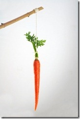 incentive-carrot
