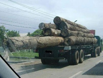 [timber smuggling[2].jpg]