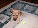DSCN5235.JPG