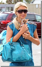 paris-hilton-110710-8