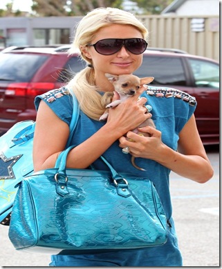 paris-hilton-110710-8