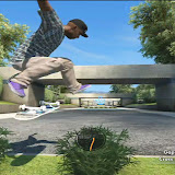 Skate 2.jpg
