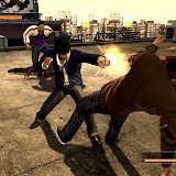 20601tanimura_01 copy.jpg