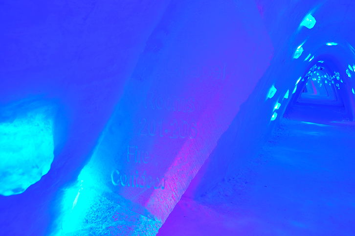 В гости к Снежной королеве!!!!!! Норвегия-Лапландия-2010 