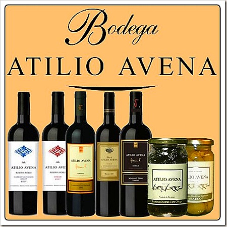 Atilio Avena blog