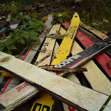 DSC01407.jpg
