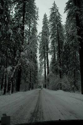 Yosemite Road
