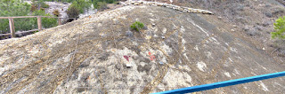 Yacimiento de dinosaurios marcado en Coll de Nargó Yacimiento de dinosaurios marcado en Coll de Nargó