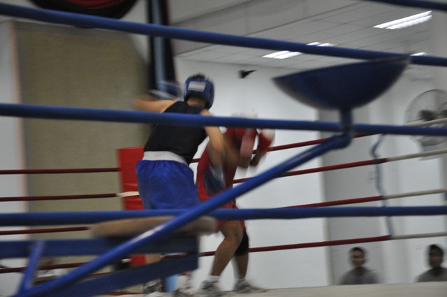 [DSC_0146[3].jpg]