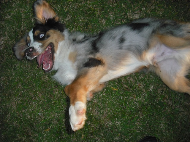 [ChaseVisitandFarmPics0352.jpg]