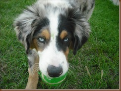 Jack 013