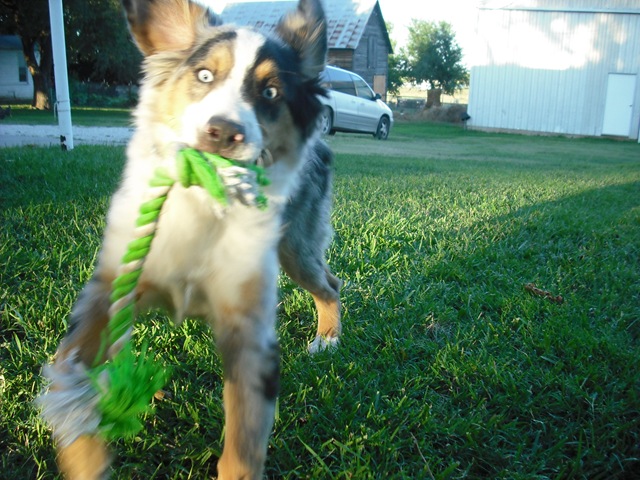 [ChaseVisitandFarmPics023.jpg]