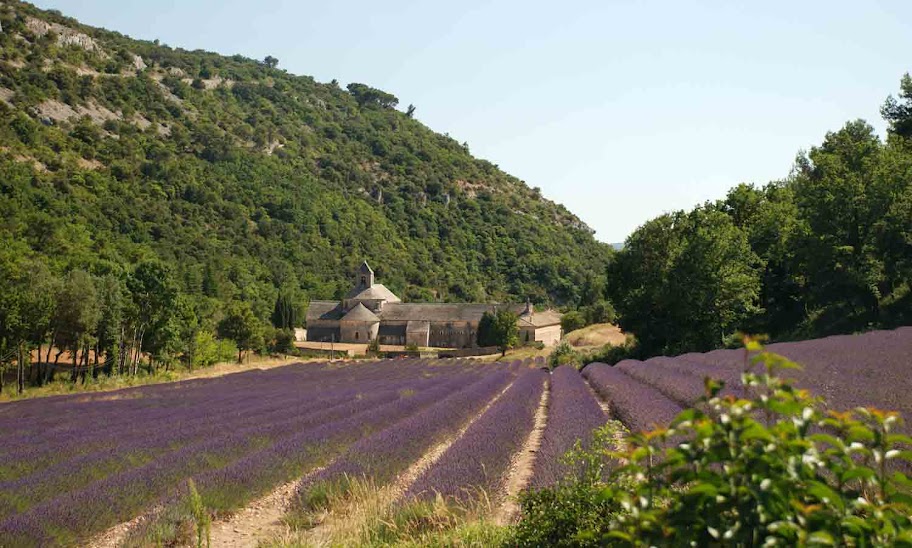 Почему я люблю Францию и не люблю французов!
