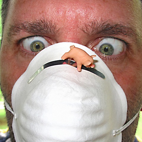 [Swine Flu[6].jpg]