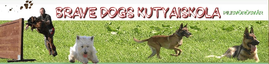 Brave dogs kutyaiskola