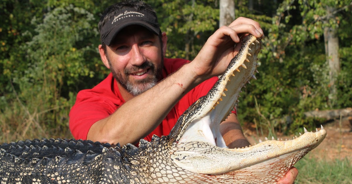 Herman Brothers Blog Alligator Hunting