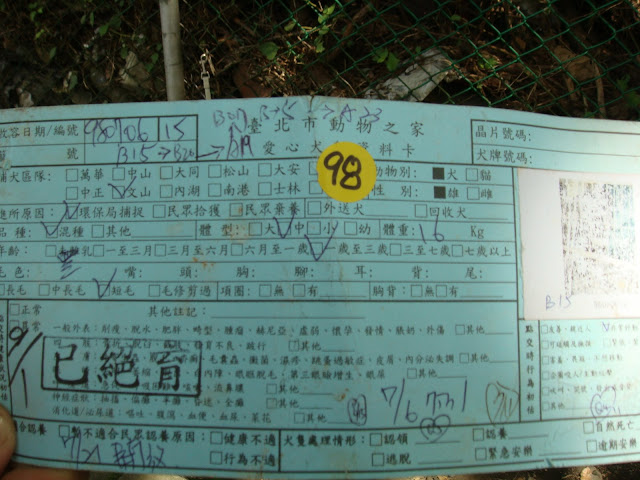 圖檔
