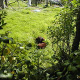 zoo - 2009