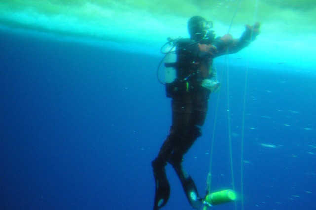 [DSC_8630[2].jpg]