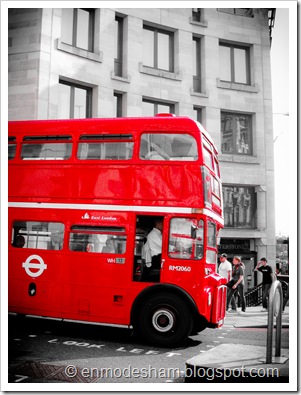 IMG_4108 IMG_4108