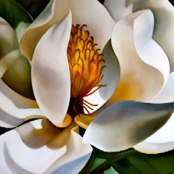[28_magnolia_swanlake_350x350[4].jpg]
