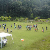 DSC00520.JPG