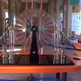 Bira_0072.jpg