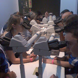 Aula coletiva ao microscópio.