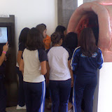 Começando um passeio pelo intestino grosso.