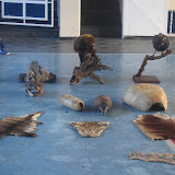 DSC01110.JPG