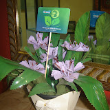 DSC01212.JPG