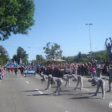 DSC00102.JPG
