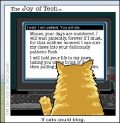 cat_blog